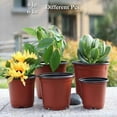 thumbnail image 1 of 4/6-inch Plant Baby Pots, Plastic Seedling Pots, Seed Starting Pots, Flower and Plant Containers, Suitable for Succulent Plants, Seedlings, Cutting, and Transplantation, 1 of 7