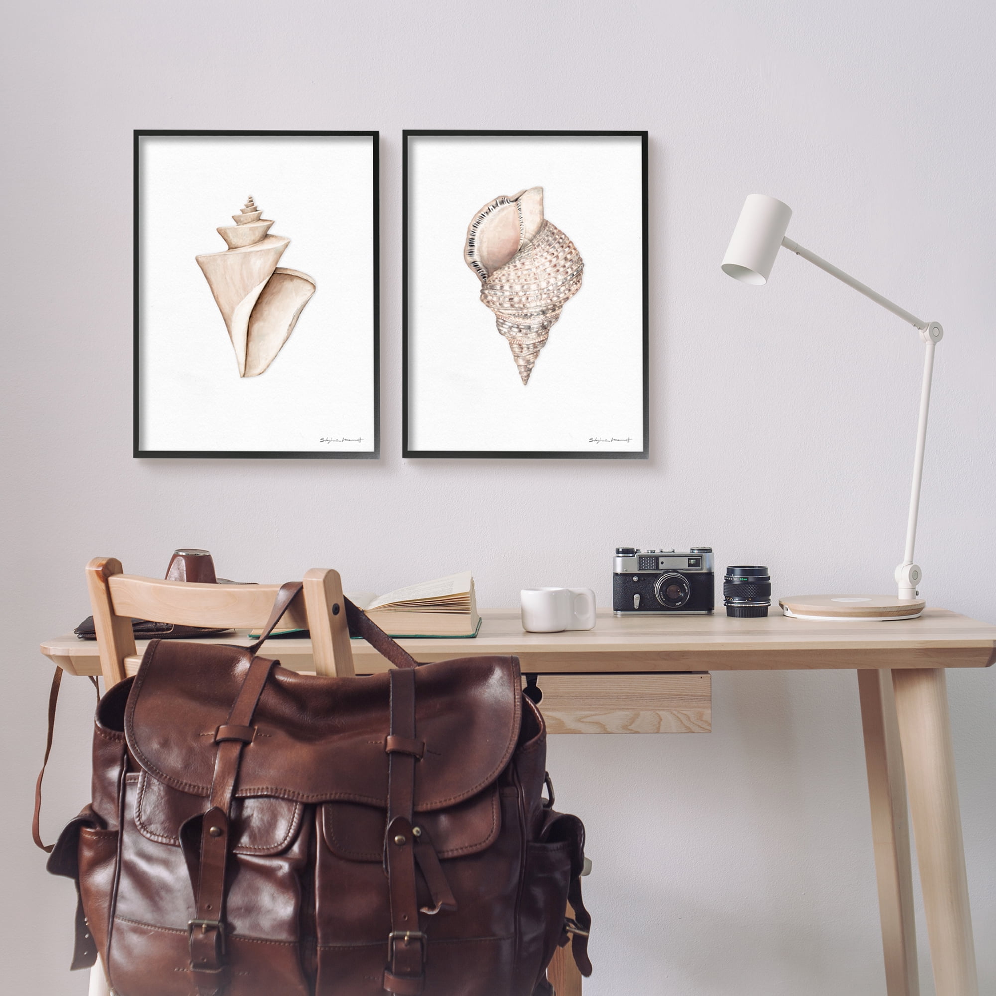 Stupell Industries Tranquil Spiral Sea Shells Soft Marine Life Illustration, 16 x 20, Design by Stephanie Workman Marrott