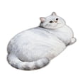 thumbnail image 2 of Roiihwy Cat Bath Rug - Cute Bath Mat,Soft and Fluffy Round Bath Rugs,Non-Slip Absorbent Bath Mats,Cat Bathroom Mats for Bathroom,Kid Room,Bedroom, 2 of 6
