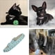 thumbnail image 4 of Bienvenido Collares para perros con diamantes de imitación, collares brillantes para gatos, collares para perros y gatos de piel de ante suave con diamantes de imitación, 4 of 5
