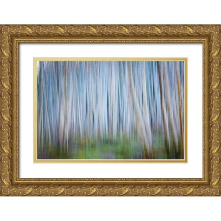 Mahan Kathy 18x13 Gold Ornate Wood Framed with Double Matting Museum Art Print Titled - Winter Forest Abstract II