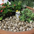 thumbnail image 4 of 20Pcs Mini Skull Head Realistic Skeleton Skull Resin Table Decor Skull N4W1, 4 of 7