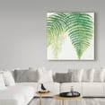 thumbnail image 3 of Trademark Fine Art 'Ferns III Square' Canvas Art by Chris Paschke, 3 of 3