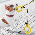 thumbnail image 4 of Tough Dog Toy - Teeth Cleaning, Resistant to Tear, Comfortable, Creative Interactive Training, Rubber Chewy Pet Toy with Rope Pull Ring for Puppies, 4 of 8