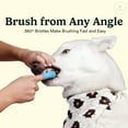 thumbnail image 5 of Jasper Dog Toothbrush Silicone Finger Toothbrush for Puppies, Cats and Small Pets 2 Pack Blue, 5 of 7