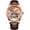 rose gold, variant on AESOP Men Genuine Mechanical Hand-Wind Tourbillon Business Dress Wrist Watch Leather Strap
