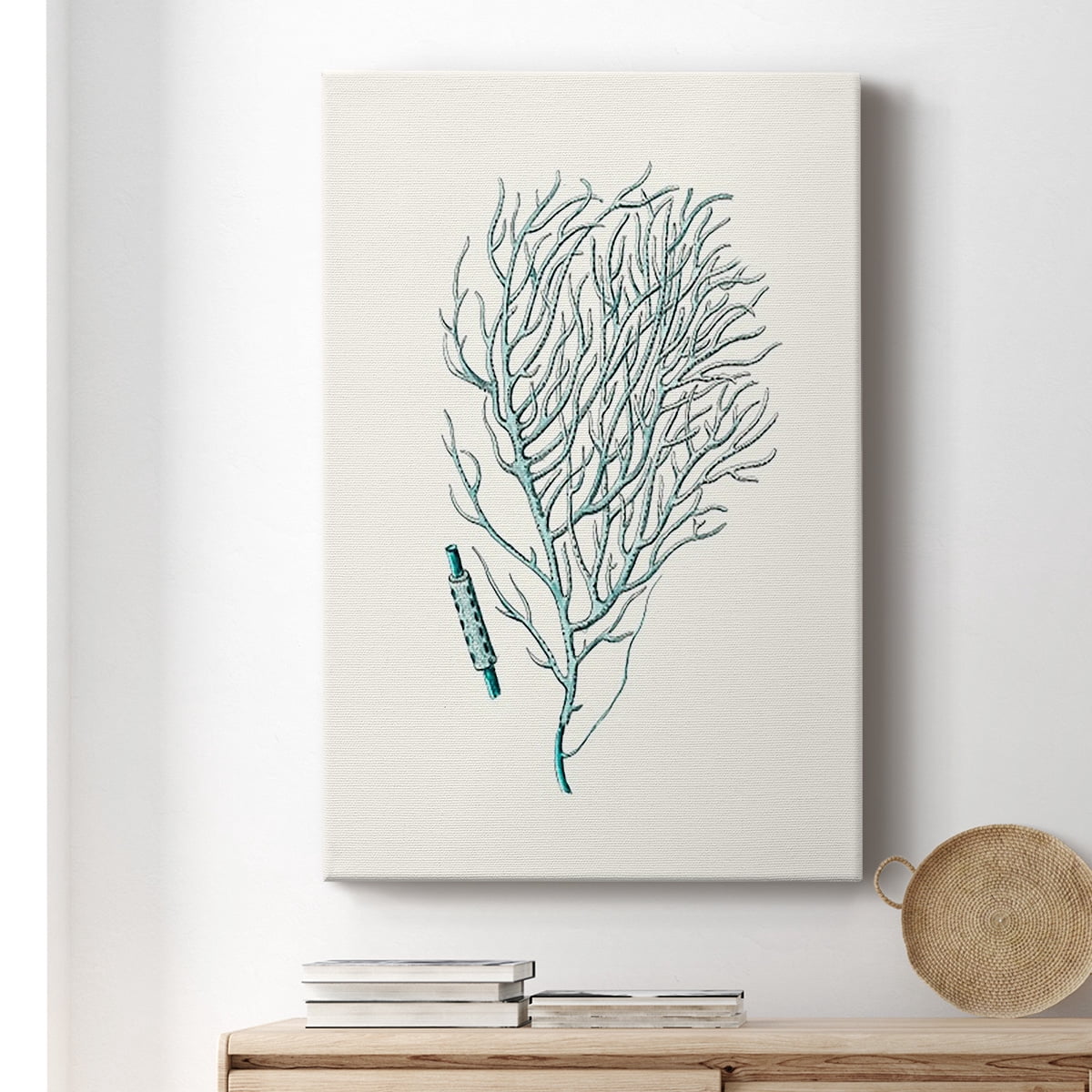 Antique Coastal Coral I Premium Gallery Wrapped Canvas - Ready to Hang