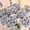 36 Silver, variant on 36 Bouquets of Realistic Bright Pink Foam Roses - Elegant Artificial Flowers for Weddings, Anniversaries, and Birthdays
