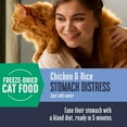 thumbnail image 6 of Whole Life Pet Nature’s Remedy Recover Interim Cat Food For Stomach Distress, 8oz, 6 of 10