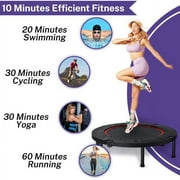 FAIZHI Foldable Mini Trampoline, 40 Rebounder Trampoline for Adults, Indoor Fitness Trampoline Exercise Workout Rebounder with Durable Bungees Outdoor/Garden