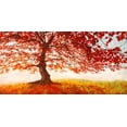 thumbnail image 2 of Eeelder, Jan 14x9 White Modern Wood Framed Museum Art Print Titled - Red Leaves, 2 of 4