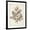 Black Frame, variant on Art.com Antique Sepia Botanicals V Art Print by 0 Unknown, 12" x 16"