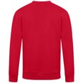 thumbnail image 3 of Men's Levelwear Red St. Louis Cardinals Zane Spring Training Pullover Sweatshirt, 3 of 3