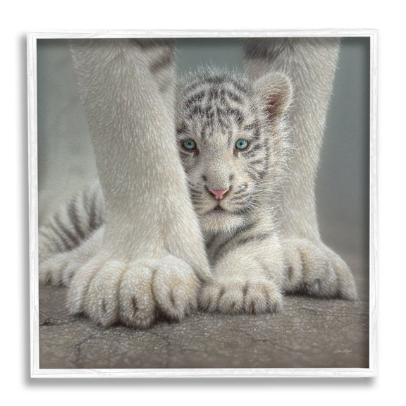 Stupell Industries Adorable Fuzzy Tiger Baby White Bengal With Mother Close Up , 17 x 17, Design by Collin Bogle
