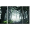 thumbnail image 2 of Dense Rain Forest At Sunrise - Extra Large Landscape Canvas Art, 2 of 3