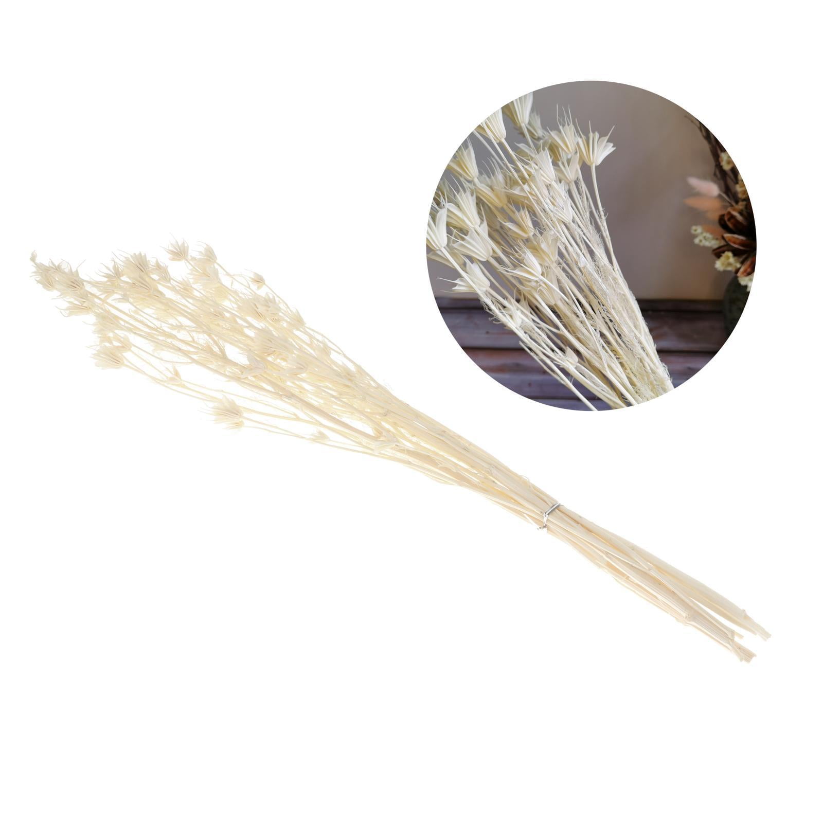 WLPZXP Dried Anise Flower Bouquet Farmhouse Table Centerpieces Vase Filler White
