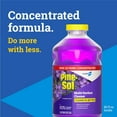 thumbnail image 2 of Multi-Surface Cleaner, Pro, 2x Concentrated Formula, Lavender Clean, 80 Fl Oz, 2 of 4