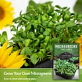 thumbnail image 4 of 2 Packs Sunflower Microgreens Seed - Non-GMO Heirloom Full Sun Annual, 4 of 6
