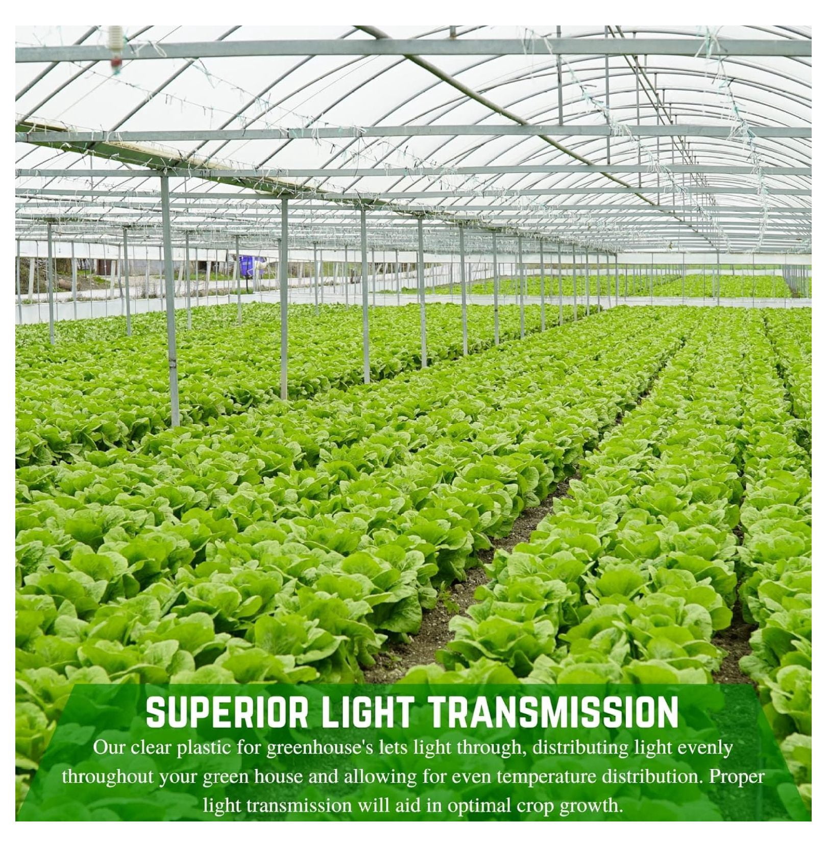 Greenhouse Plastic Sheeting 10 Mil - 6' x 25' String Reinforced UV Resistant Film for Hoop Houses, Clear Polyethylene Greenhouse Cover, Crop Protection