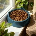 thumbnail image 5 of Raised Cat Bowl - Non-Slip Plastic Feeding Dish, Whisker Friendly & Anti-Tip, Wide & Shallow for Cats, Comfortable Eating, Easy to Clean, 5 of 6