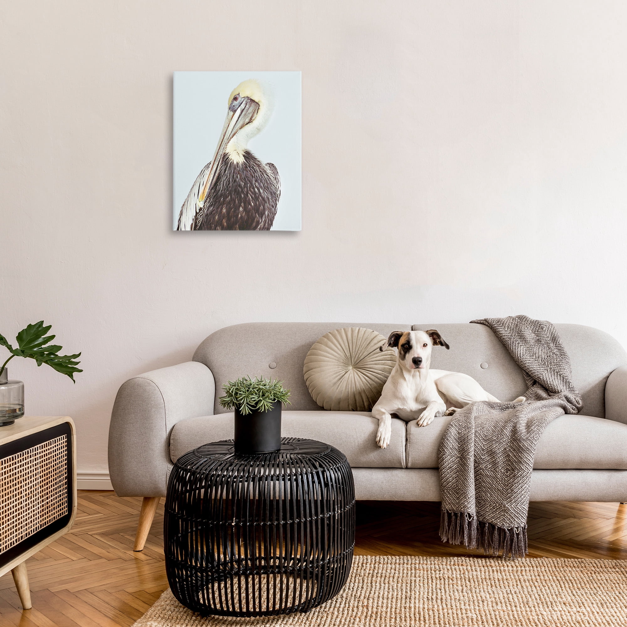 Stupell Industries Preening Pelican Photography Animals & Insects Painting Gallery Wrapped Canvas Art Print Wall Art, 24 x 30