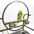 thumbnail image 2 of A&E Cage The ?O" Parrot Play Stand-Material:Metal, 2 of 2