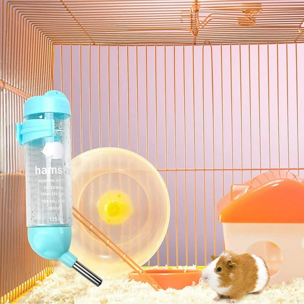 How to give a guinea pig water without outlet a bottle