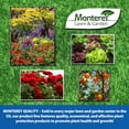 thumbnail image 3 of Monterey Garden insect Spray Organic Mites insecticide, 32 oz, 3 of 8
