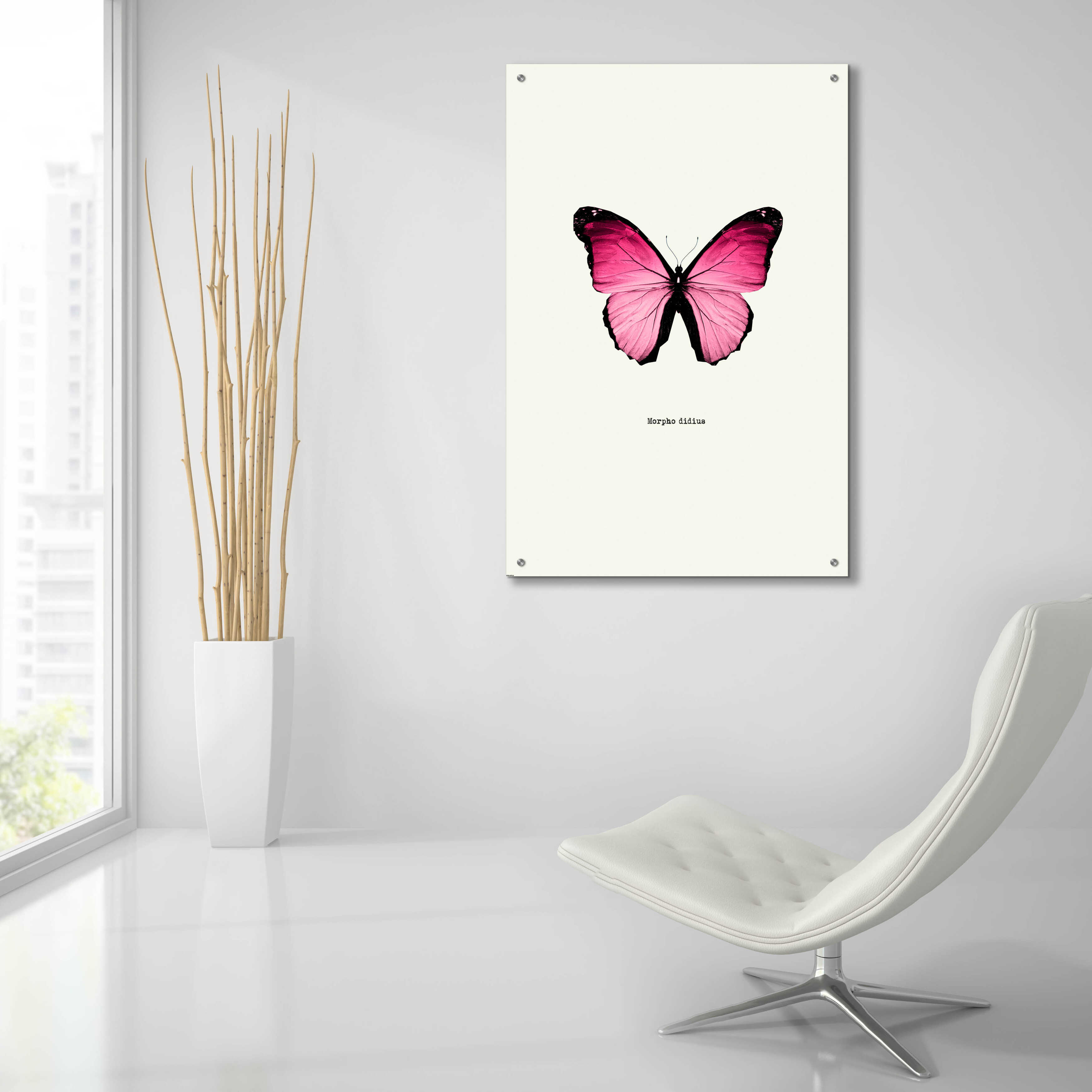 Epic Art 'Pink Butterfly' by GraphINC, Acrylic Glass Wall Art, 24"x36"
