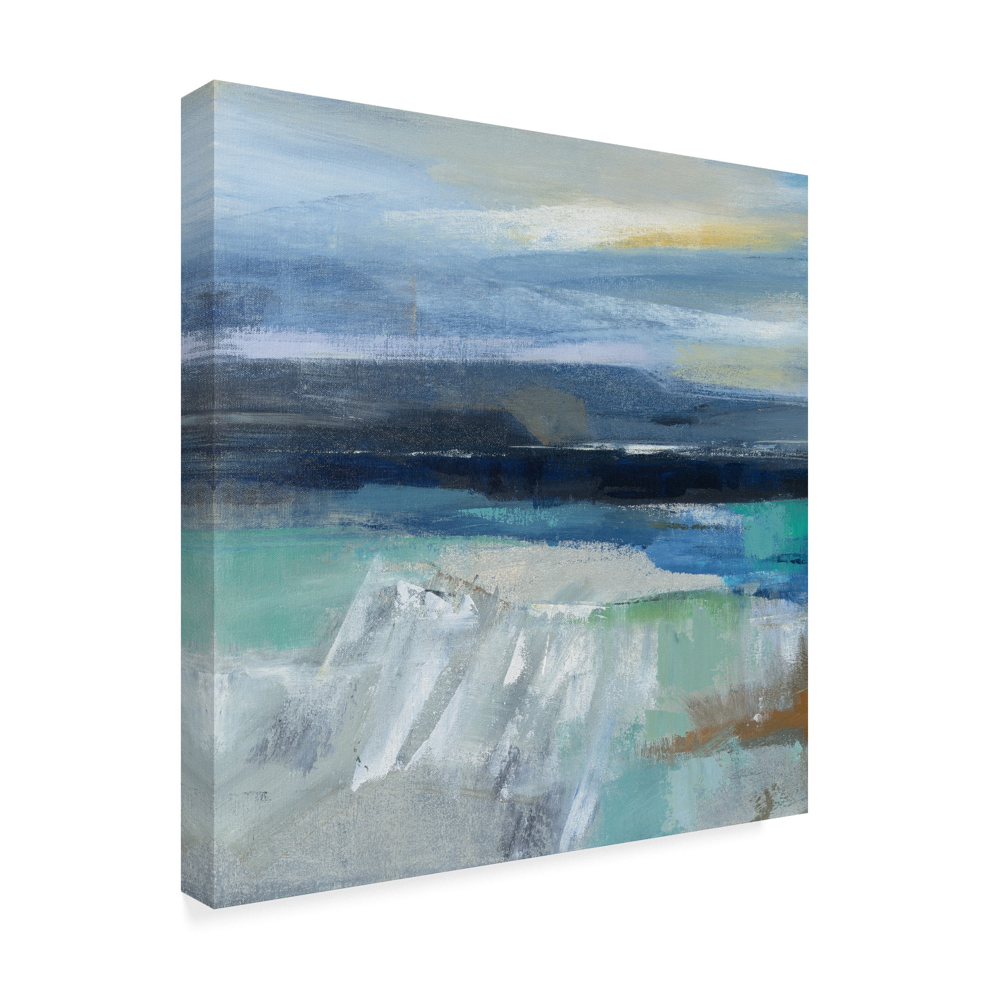 Trademark Fine Art 'Wave Crop I' Canvas Art by Silvia Vassileva