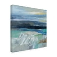 thumbnail image 2 of Trademark Fine Art 'Wave Crop I' Canvas Art by Silvia Vassileva, 2 of 3
