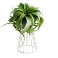 thumbnail image 5 of Plant Pot Holder, Plant Stand Iron Fashionable  For Home, 5 of 5