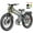 A9 ProMax 60V70AH Gray, variant on ANIIOKI A9 Pro Max Dual Motor Electric Bike for Adults,60V 80Ah,26"x4.8" All-Terrain Tires,6000W Peak,IP65 Waterproof,LED Lights