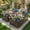Walnut, variant on MAYEERTY 6x3x2FT Galvanized Raised Garden Bed, Reinforced Rustproof Metal Planter Box for Outdoor Vegetable Flower Herb