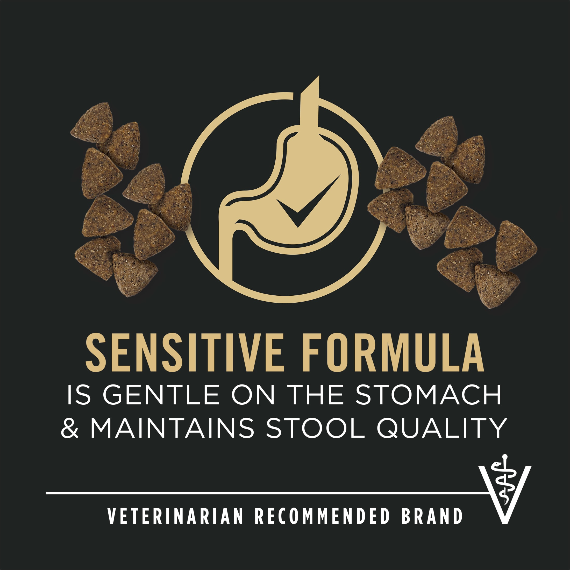 Purina Pro Plan Sensitive Stomach Salmon & Rice Dry Dog Food, 16 lb photo 2