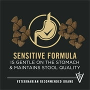 Purina Pro Plan Sensitive Skin and Sensitive Stomach Dog Food Lamb and Oat Meal Formula, 16 lb. Bag