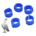 thumbnail image 3 of Visland 100Pcs Mix Color 8mm Foot Ring Bands Bird Clip On Leg Rings For Pigeon, 3 of 7