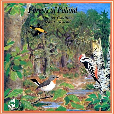 Forests Of Poland