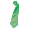 thumbnail image 1 of Premier  Adult Colours Satin Tie, 1 of 2