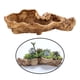 thumbnail image 5 of , contenedor de resina en tocón de árbol, de cactus para interior, exterior, jardín, Sunnimix Macetas suculentas, 5 of 8