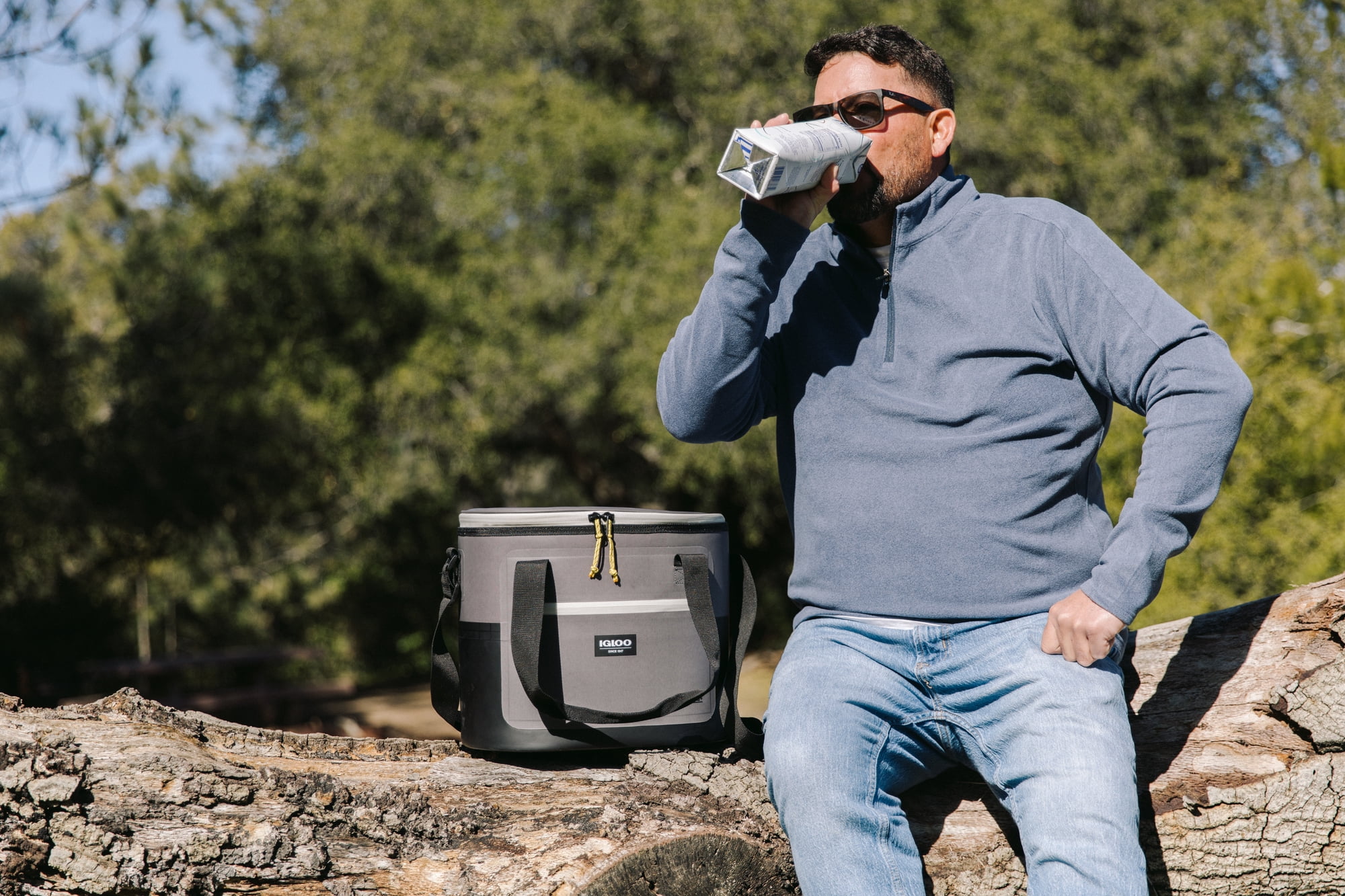Igloo 18 cans Overland Halo Soft Sided Cooler, Gray
