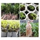thumbnail image 5 of 100 macetas de tela, bolsas de cultivo, biodegradables, bolsa para plantas de vivero, fondo plano, 5 of 9