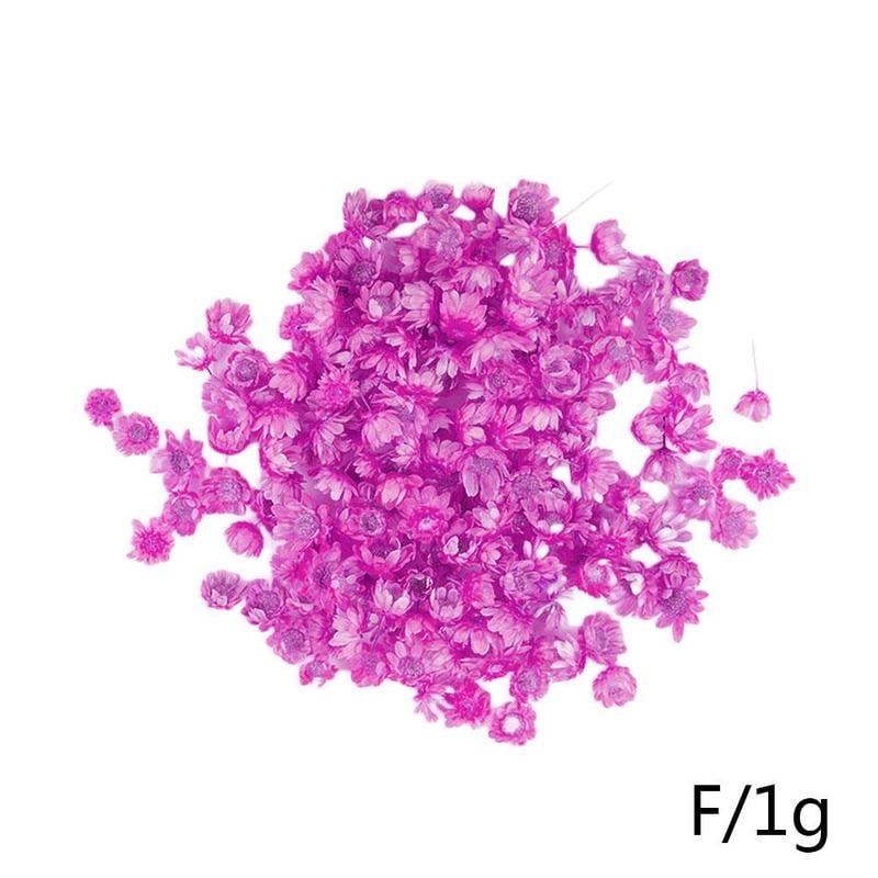 140pcs Real Dried Flowers For Art Craft Epoxy Resin Candle Jewellery