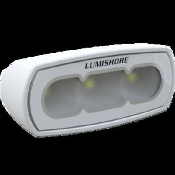 Lumishore USA 600467 4 in. Abovewater White LED Flood Light