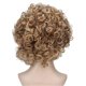 thumbnail image 3 of Women Hair Short Curl Wigs Adjustable High Temperature Synthetic Hair Female Short Hair Wigs for Daily Use, 3 of 5