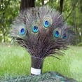 thumbnail image 4 of Farfi 10Pcs Peacock Feathers Attractive DIY Creation Natural Peacock Eye Tail Feather for Party (See description), 4 of 9