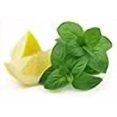 thumbnail image 3 of Graines d'Herbes Citron Menthe - non-OGM - 0,5 Gramme, 3 of 3
