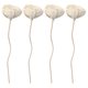 thumbnail image 1 of unbranded 4Ud Difusores Decorativos Con Flores Para En Mesas Estantes Y, 1 of 8