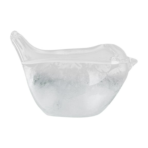 Storm Glass Weather Forecast Bottle,Snow Globes Barometer,Cloud Storm Weather Station,Decorative Weather Predictor, Home and Office Decor, Unique Gift Idea