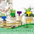 thumbnail image 3 of Garden Plant Markers Purple 100 Set, Indoor Outdoor Plant Stakes Waterproof, Gardening Stakes Plant Name Tags, 3 of 7